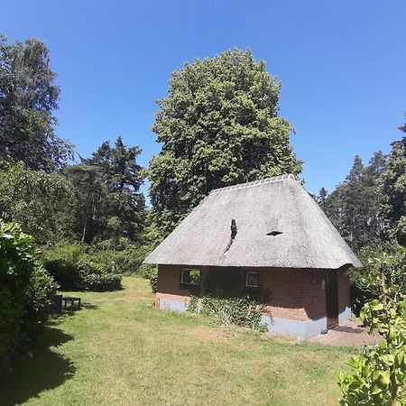 De Hooge Woeste Villa Emst Exterior foto